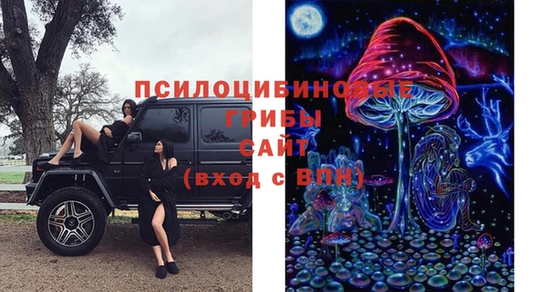 бошки Беслан